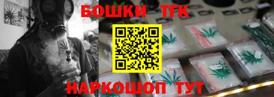 гашик Будённовск