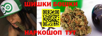 гашик Будённовск