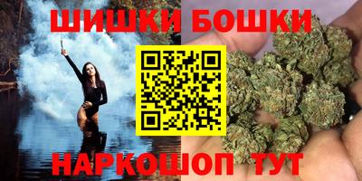 гашик Будённовск
