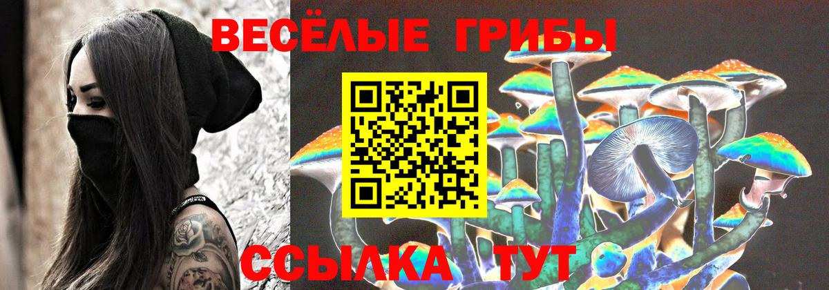 Псилоцибиновые грибы Psilocybine cubensis Лосино-Петровский