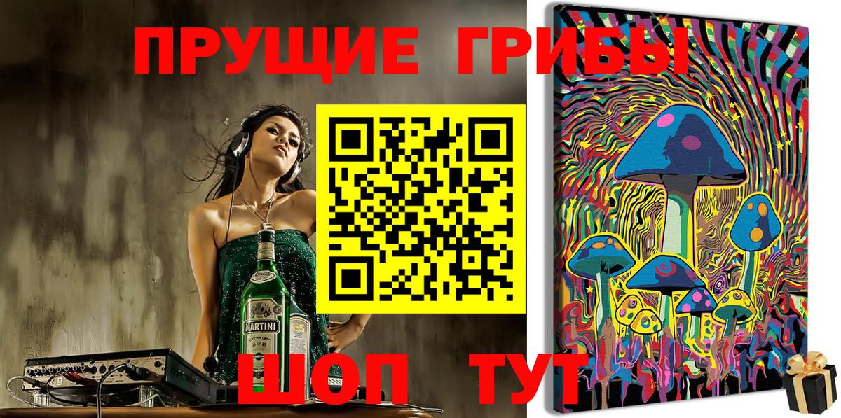 Лосино-Петровский  Галлюциногенные грибы Psilocybe  Вход с VPN 
